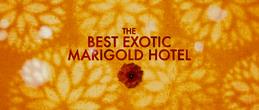 Immagine tratta da Marigold Hotel
